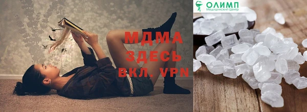 прущие грибы Дмитров