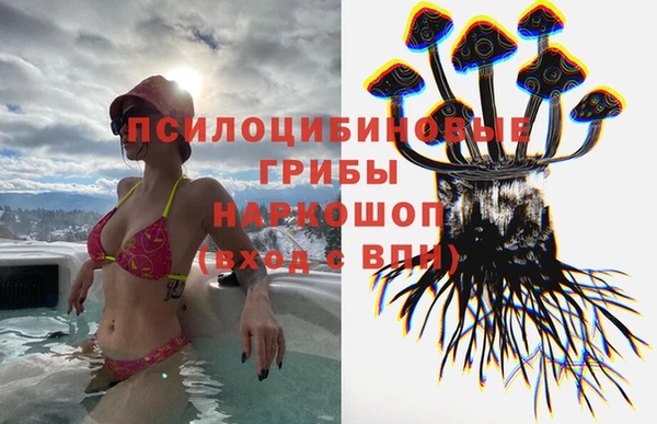 прущие грибы Дмитров