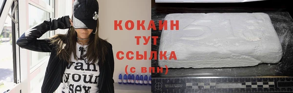 меф Дмитриев