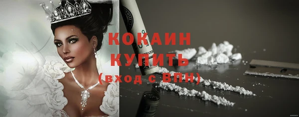 прущие грибы Дмитров