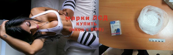 прущие грибы Дмитров