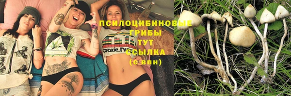 меф Дмитриев
