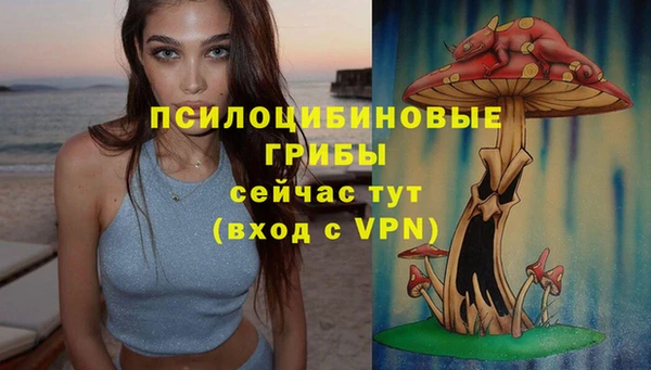 MDMA Дмитровск