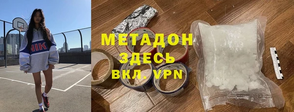 прущие грибы Дмитров