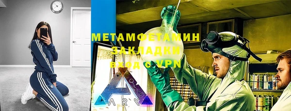 прущие грибы Дмитров