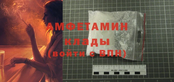 прущие грибы Дмитров