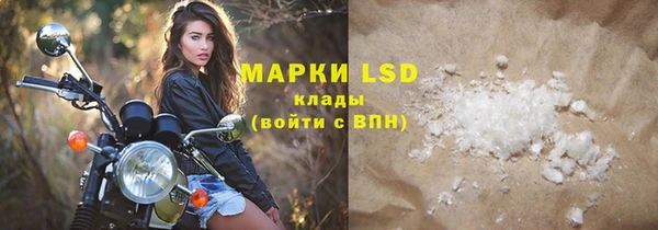 прущие грибы Дмитров