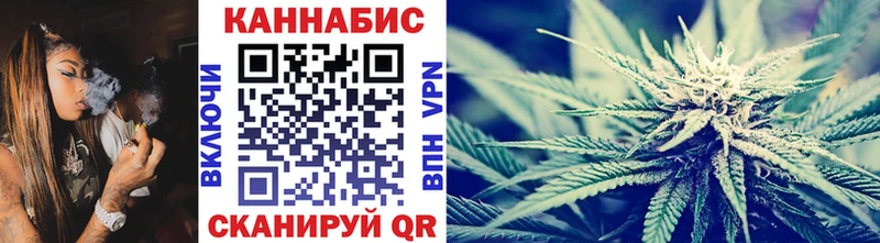 где можно купить   Ефремов  Канабис сатива 